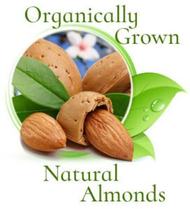 Organically Grown Natural Raw Almonds
